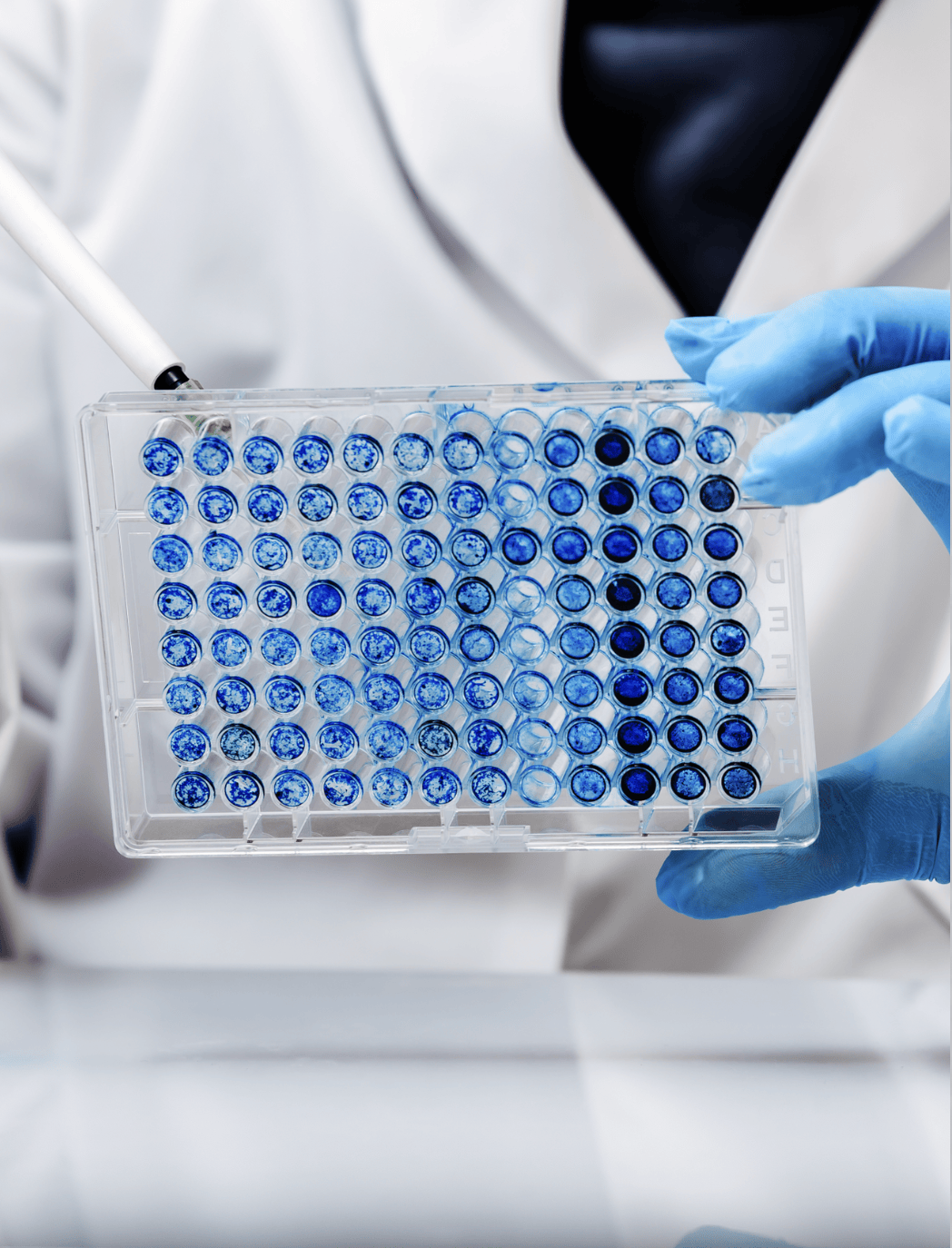 Multi-well assay plate
